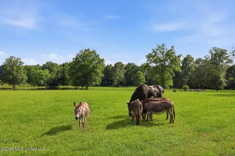 979 Barker Rd, Morton, MS 39117 photo 3