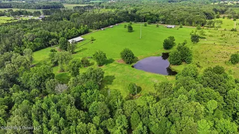 979 Barker Rd, Morton, MS 39117 photo 61