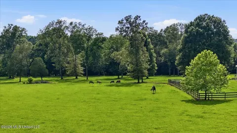 979 Barker Rd, Morton, MS 39117 photo 70