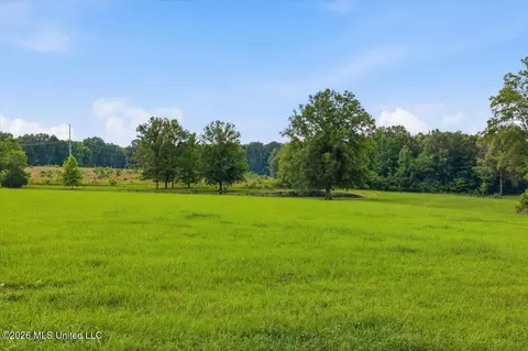 979 Barker Rd, Morton, MS 39117 photo 43
