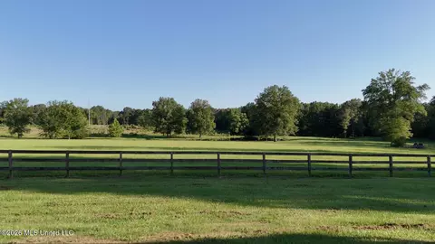 979 Barker Rd, Morton, MS 39117 photo 79