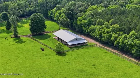 979 Barker Rd, Morton, MS 39117 photo 53