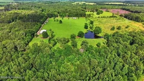 979 Barker Rd, Morton, MS 39117 photo 59