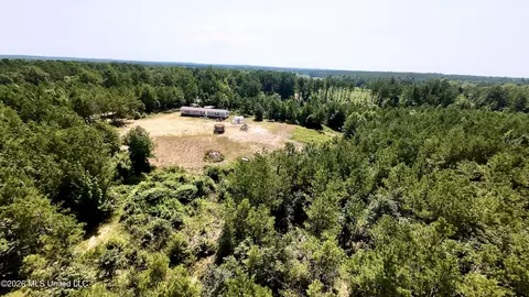115 Calhoun Rd, Mendenhall, MS 39114 photo 5
