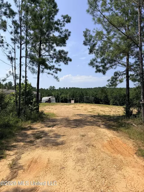 115 Calhoun Rd, Mendenhall, MS 39114 photo 2