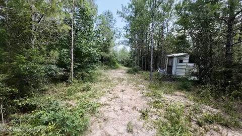 115 Calhoun Rd, Mendenhall, MS 39114 photo 29