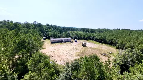 115 Calhoun Rd, Mendenhall, MS 39114 photo 4