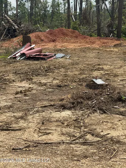 175 Stonybrook Trl, Bogue Chitto, MS 39629 photo 2