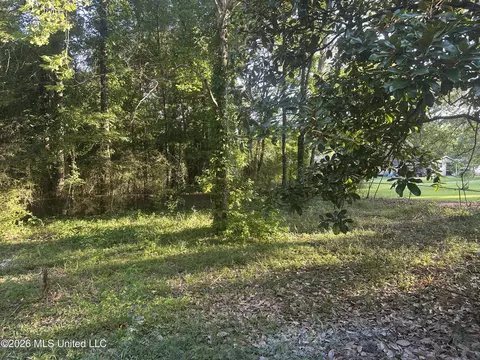 Other - 1249 Saint Augustine Dr, Pearl, MS 39208 photo 9 of 11