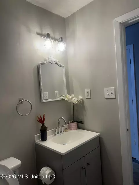 Bath - 1249 Saint Augustine Dr, Pearl, MS 39208 photo 9 of 10