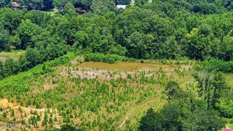Luckney Road, Brandon, MS 39042 photo 12