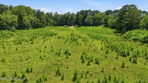 Luckney Road, Brandon, MS 39042 photo 43