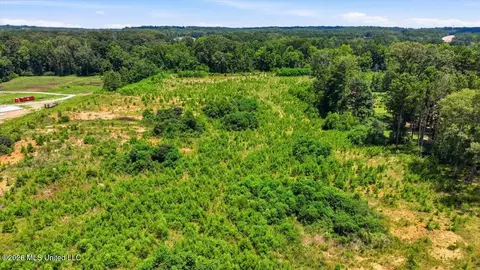 Luckney Road, Brandon, MS 39042 photo 32