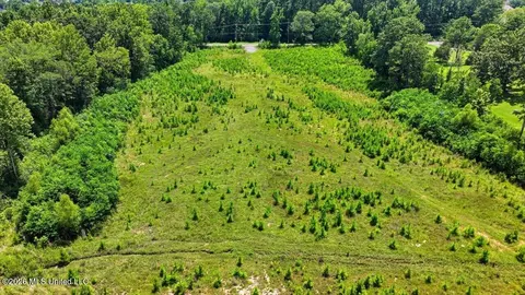 Luckney Road, Brandon, MS 39042 photo 30