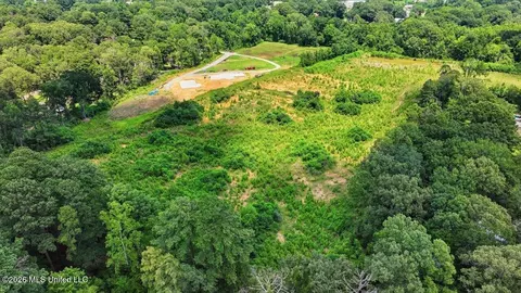 Luckney Road, Brandon, MS 39042 photo 11