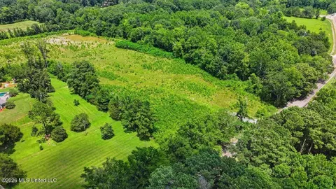 Luckney Road, Brandon, MS 39042 photo 16