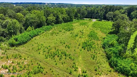 Luckney Road, Brandon, MS 39042 photo 28