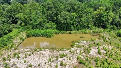 Luckney Road, Brandon, MS 39042 photo 29