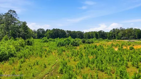 Luckney Road, Brandon, MS 39042 photo 42