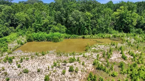Luckney Road, Brandon, MS 39042 photo 34