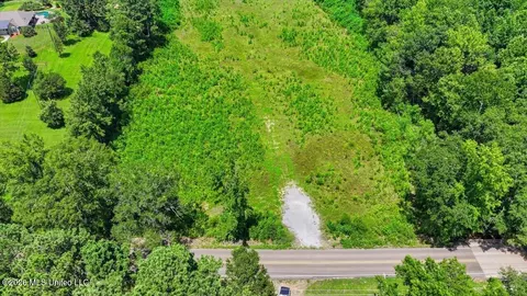 Luckney Road, Brandon, MS 39042 photo 18