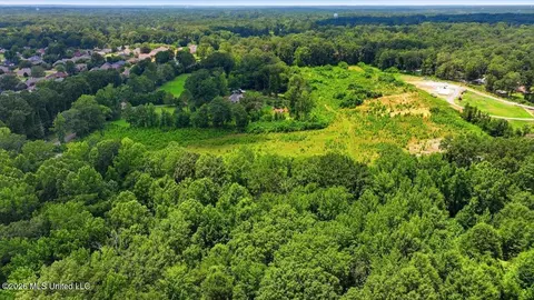Luckney Road, Brandon, MS 39042 photo 6