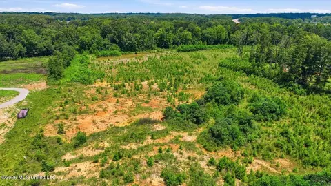 Luckney Road, Brandon, MS 39042 photo 33