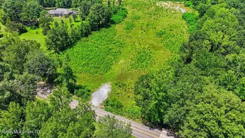Luckney Road, Brandon, MS 39042 photo 19