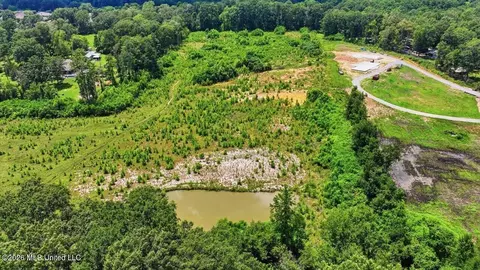 Luckney Road, Brandon, MS 39042 photo 25