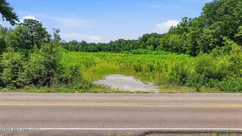 Luckney Road, Brandon, MS 39042 photo 36