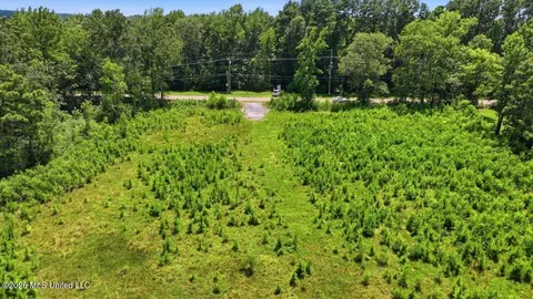 Luckney Road, Brandon, MS 39042 photo 3