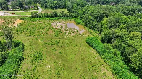 Luckney Road, Brandon, MS 39042 photo 21