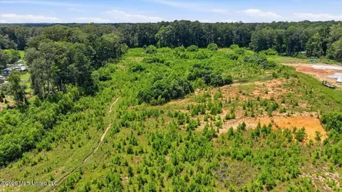 Luckney Road, Brandon, MS 39042 photo 31