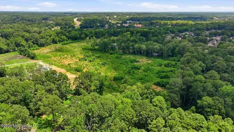 Luckney Road, Brandon, MS 39042 photo 8