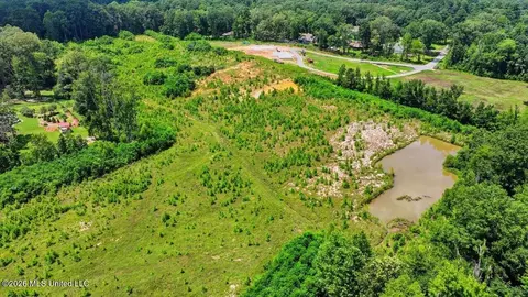 Luckney Road, Brandon, MS 39042 photo 22