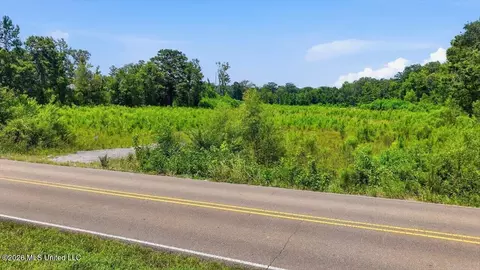 Luckney Road, Brandon, MS 39042 photo 37