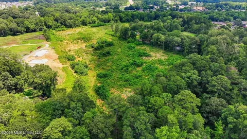 Luckney Road, Brandon, MS 39042 photo 9