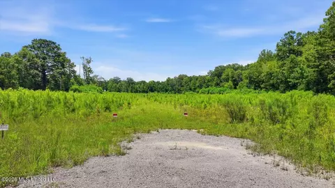Luckney Road, Brandon, MS 39042 photo 39