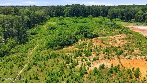 Luckney Road, Brandon, MS 39042 photo 27