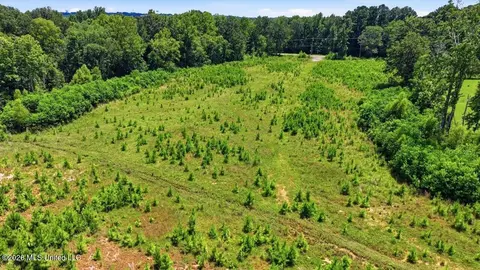 Luckney Road, Brandon, MS 39042 photo 35