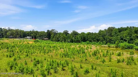 Luckney Road, Brandon, MS 39042 photo 41