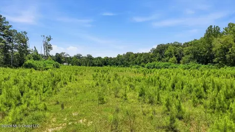 Luckney Road, Brandon, MS 39042 photo 40