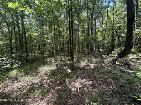 Firetower Road, Camden, MS 39045 photo 10