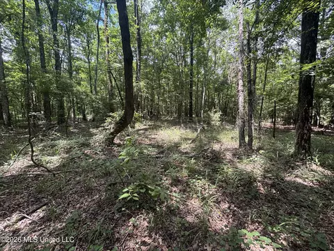 Firetower Road, Camden, MS 39045 photo 7