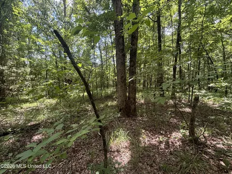 Firetower Road, Camden, MS 39045 photo 6