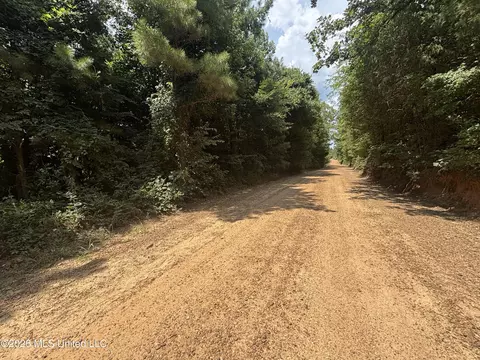 Firetower Road, Camden, MS 39045 photo 4
