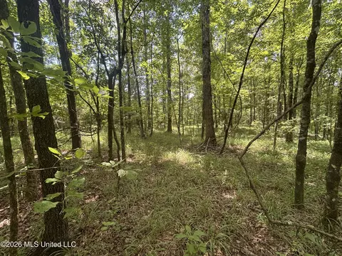 Firetower Road, Camden, MS 39045 photo 5