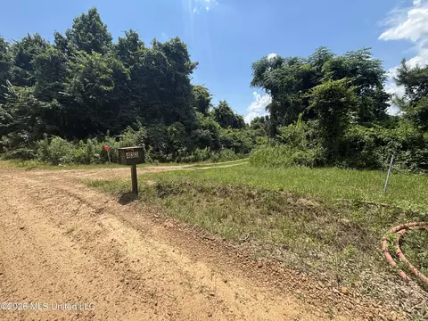 Firetower Road, Camden, MS 39045 photo 2