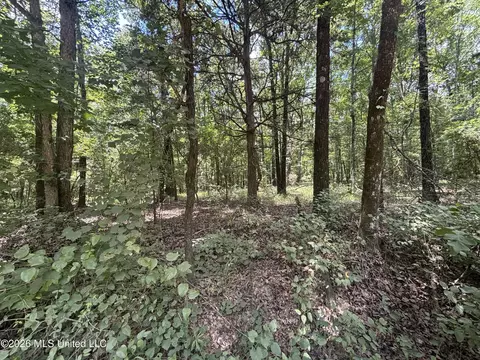 Firetower Road, Camden, MS 39045 photo 8