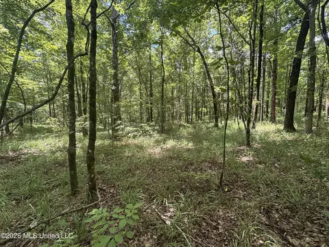 Firetower Road, Camden, MS 39045 photo 3